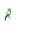 Kalbe Logo